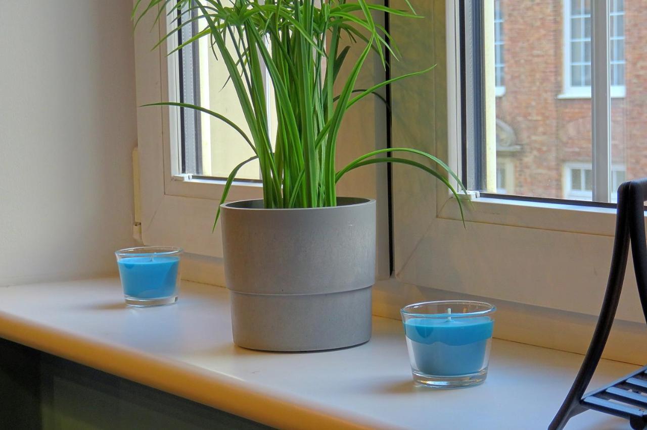 Elzbieta Apartament 格但斯克 外观 照片